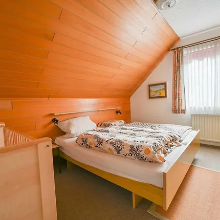 Seepferdchen 4